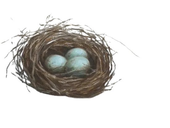 Vogelnest